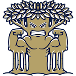 new-college-of-florida-mighty-banyans