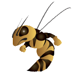 harris-stowe-state-hornets