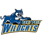 suny-polytech-wildcats
