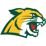 northern-michigan-wildcats