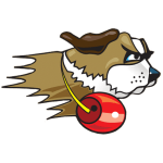 st-francis-fighting-saints