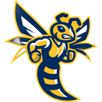emory-henry-wasps