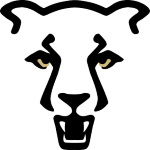 colorado-springs-mountain-lions