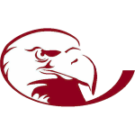 lock-haven-bald-eagles