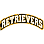 umbc-retrievers