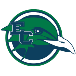 endicott-gulls
