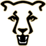 colorado-springs-mountain-lions